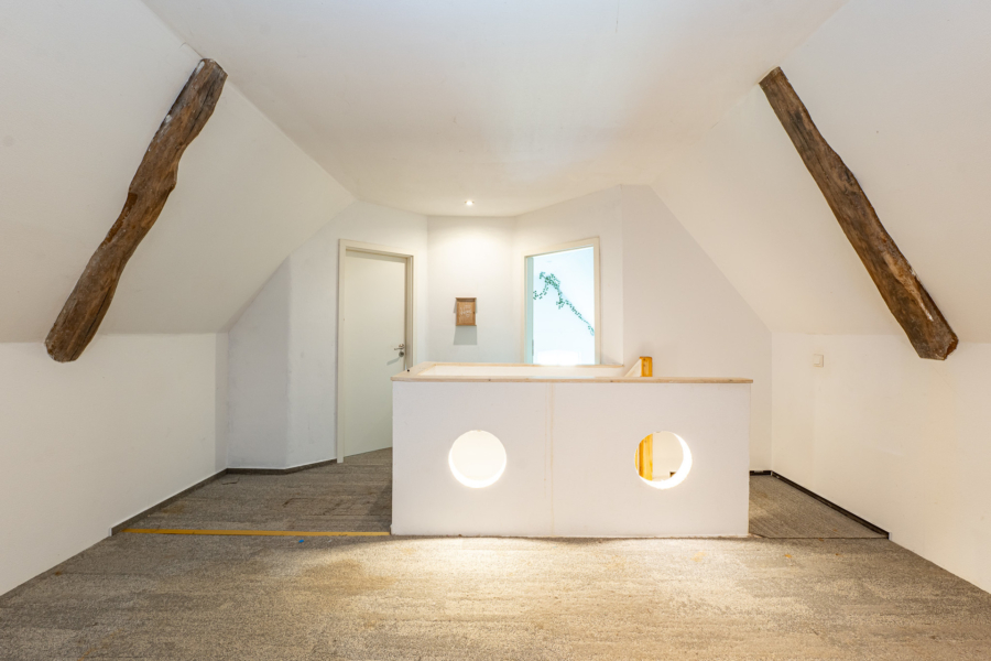Reetdachhäuschen mit Stallungen am Haus! - Studio