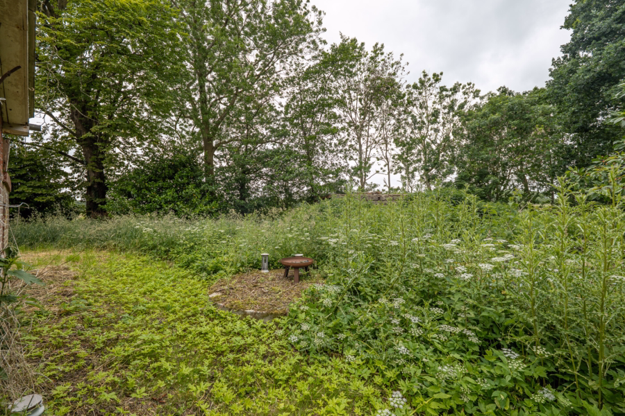 Garten hinter dem Haus