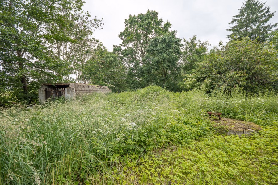 Garten hinter dem Haus