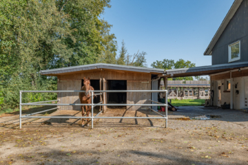 Pferdeliebhaber aufgepasst! Anwesen mit drei Wohneinheiten und massig Weidefläche. - Paddock