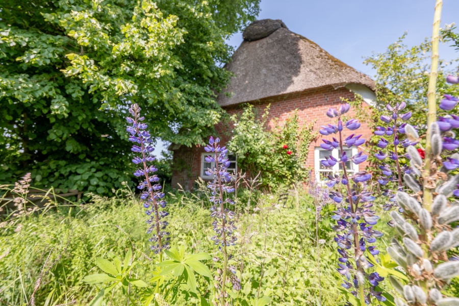 Das Rönnehaus – ein Ort zum Ankommen, Durchatmen und Bleiben - Garten