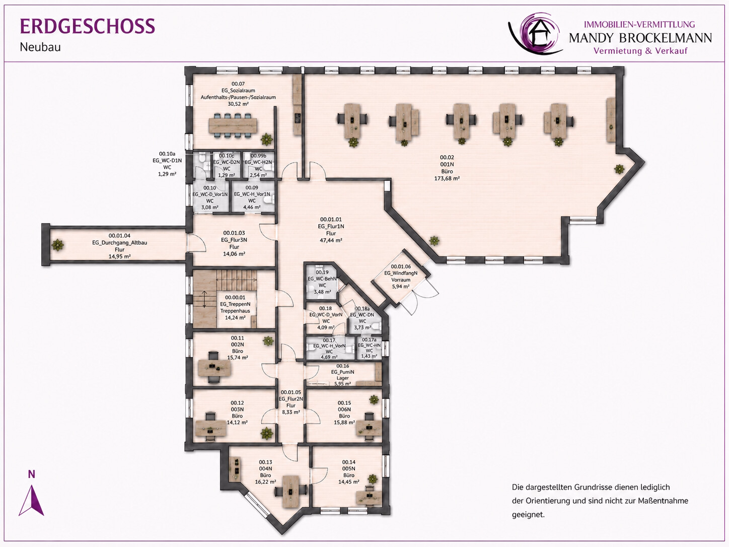 EG Neubau Grundriss