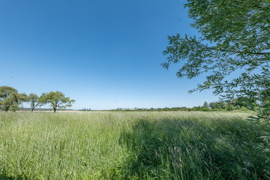 Ruhige und idylische Lage mit viel Wohnfläche! - Aussicht hinterm Haus