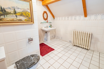 Badezimmer - Reetdachhaus mit großzügigem Grundstück und ländlichem Flair – Ihr neues Zuhause in ruhiger Naturidylle