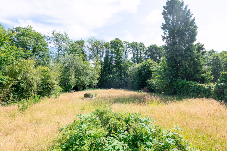 Garten / Rückbereich