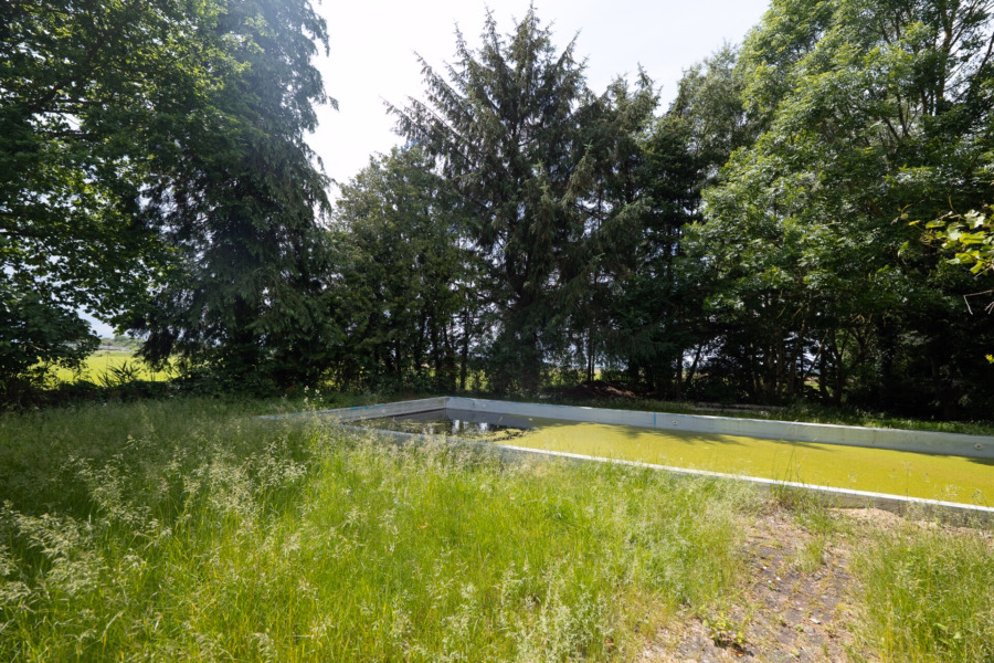 Pool im Garten