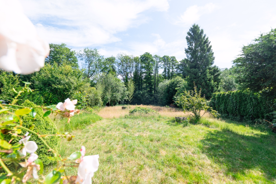 Garten / Rückbereich