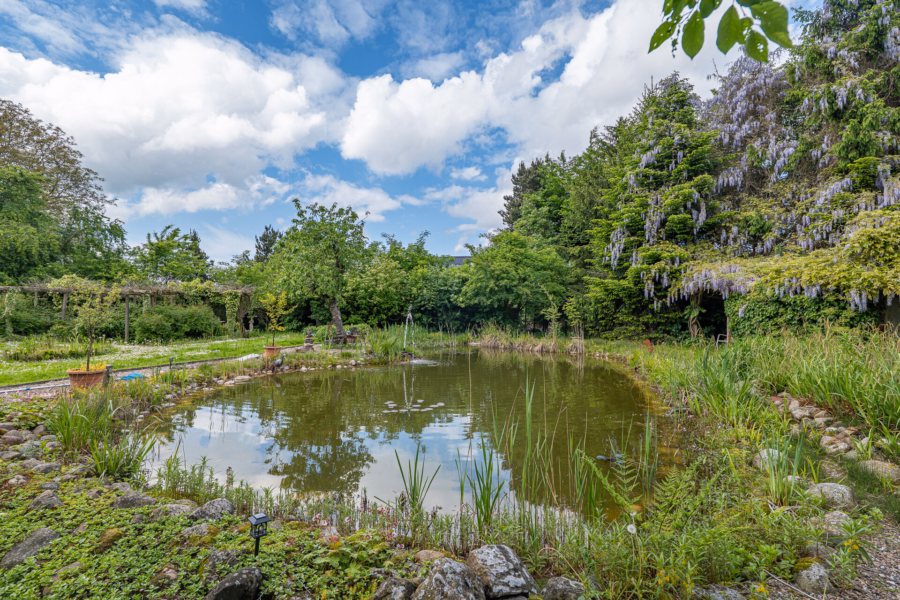 Gartenteich