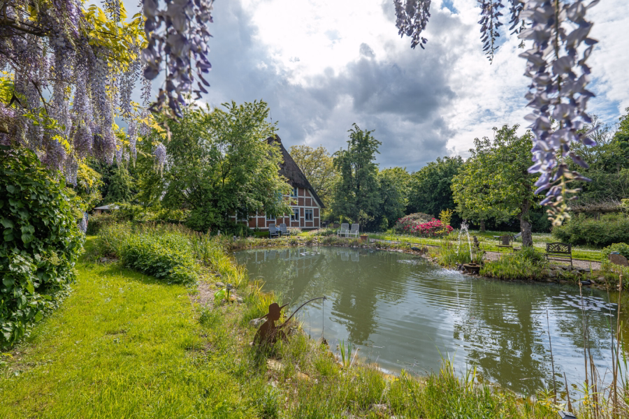Gartenteich